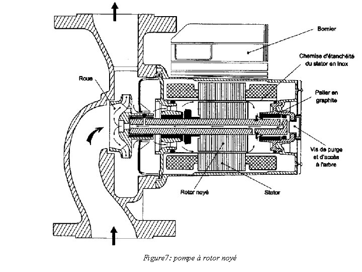 Figure 7: pompe à rotor noyé 