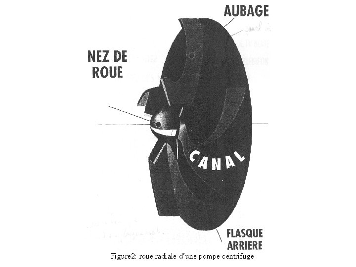 Figure 2: roue radiale d’une pompe centrifuge 