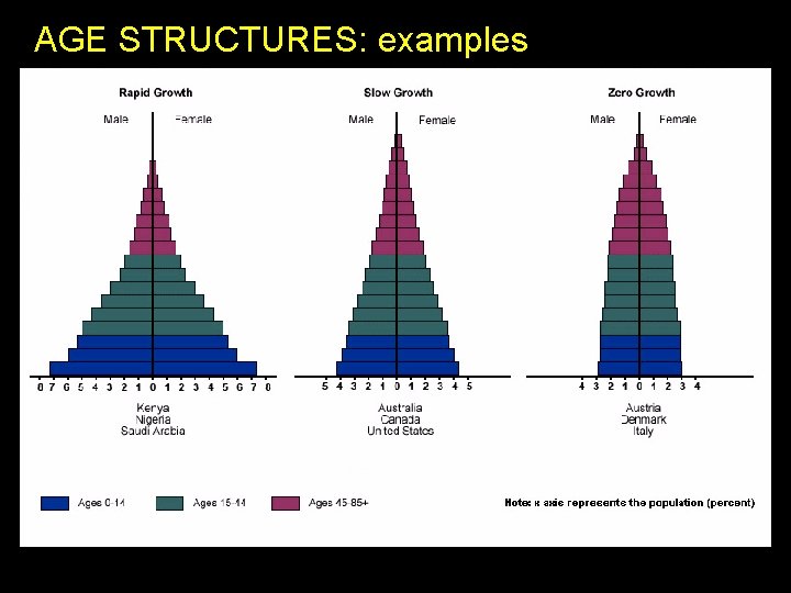 AGE STRUCTURES: examples 