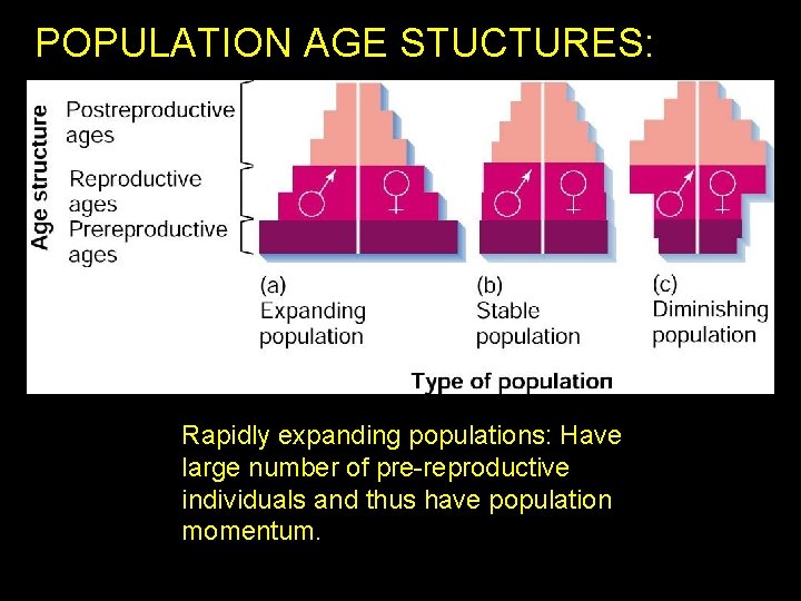 POPULATION AGE STUCTURES: Rapidly expanding populations: Have large number of pre-reproductive individuals and thus
