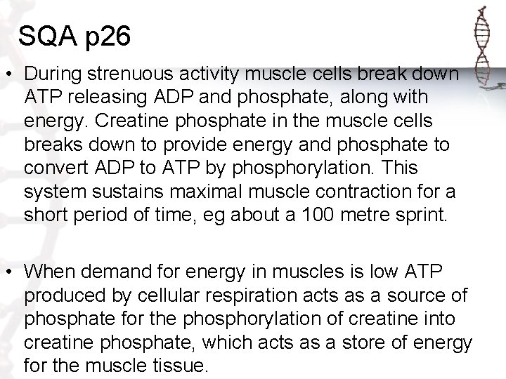 SQA p 26 • During strenuous activity muscle cells break down ATP releasing ADP