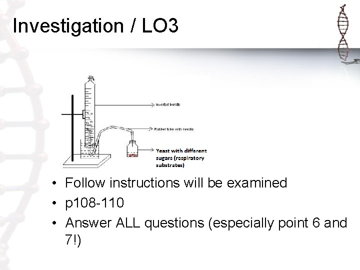 Investigation / LO 3 • Follow instructions will be examined • p 108 -110