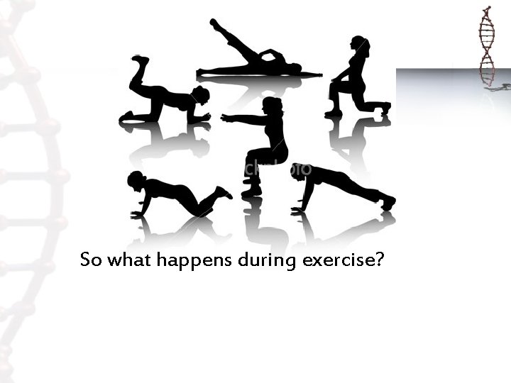 So what happens during exercise? 