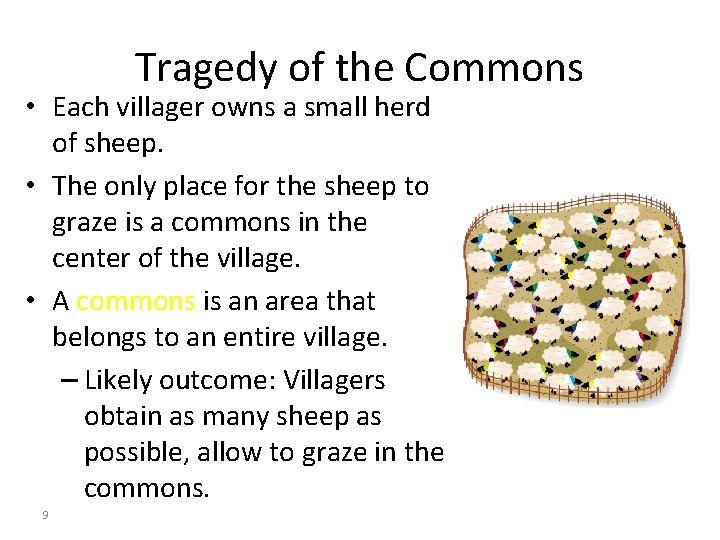 Tragedy of the Commons • Each villager owns a small herd of sheep. •