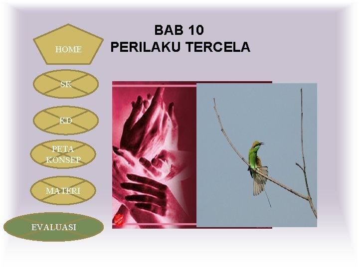 HOME SK KD PETA KONSEP MATERI EVALUASI BAB 10 PERILAKU TERCELA 