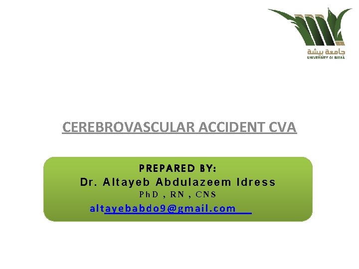 CEREBROVASCULAR ACCIDENT CVA PREPARED BY: Dr. Altayeb Abdulazeem Idress Ph. D , RN ,
