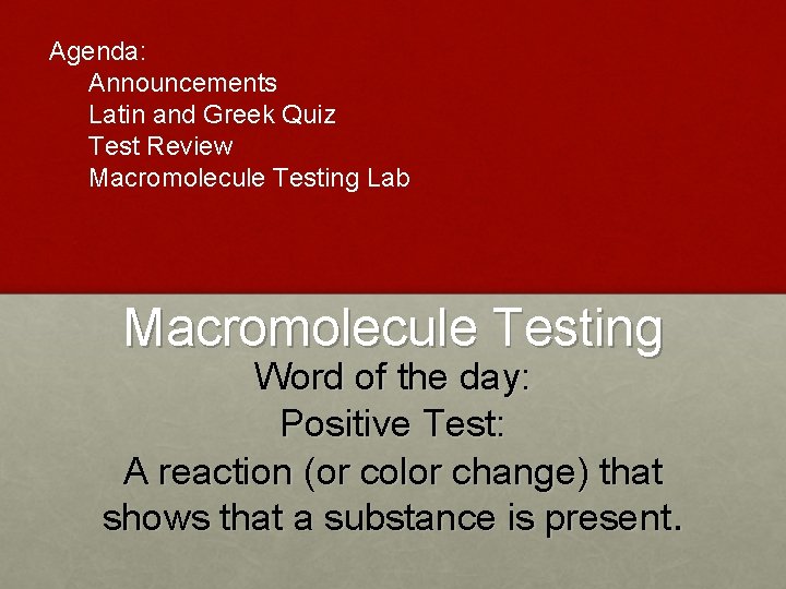 Agenda: Announcements Latin and Greek Quiz Test Review Macromolecule Testing Lab Macromolecule Testing Word