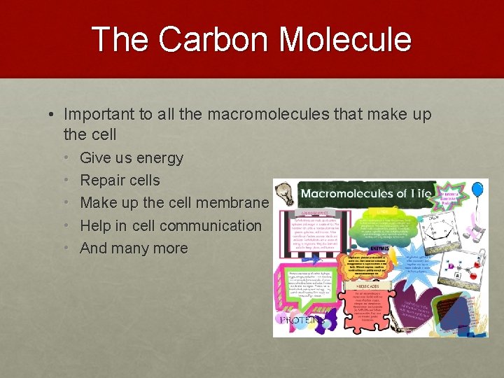 The Carbon Molecule • Important to all the macromolecules that make up the cell