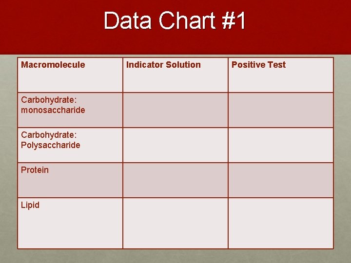 Data Chart #1 Macromolecule Carbohydrate: monosaccharide Carbohydrate: Polysaccharide Protein Lipid Indicator Solution Positive Test