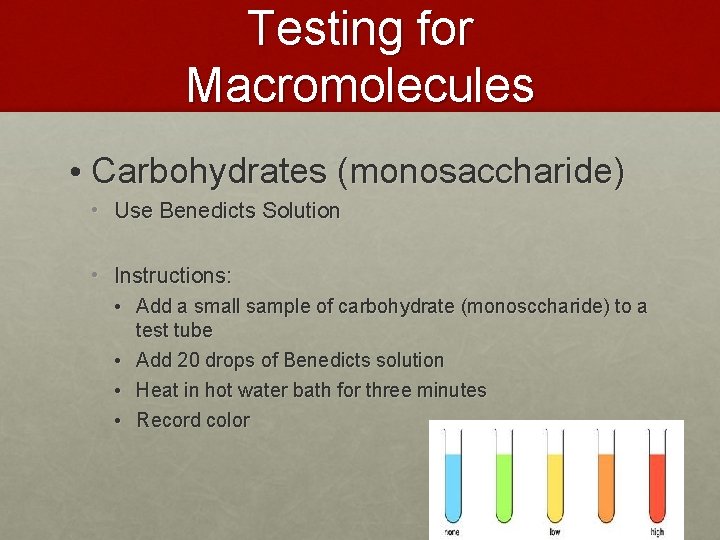 Testing for Macromolecules • Carbohydrates (monosaccharide) • Use Benedicts Solution • Instructions: • Add