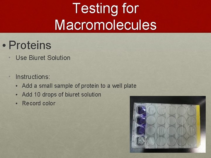 Testing for Macromolecules • Proteins • Use Biuret Solution • Instructions: • Add a