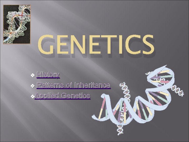 GENETICS History v Patterns of Inheritance v. Applied Genetics v GENETICS History v Patterns of Inheritance v. Applied Genetics v