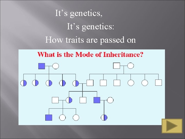 It’s genetics, It’s genetics: How traits are passed on It’s genetics, It’s genetics: How traits are passed on