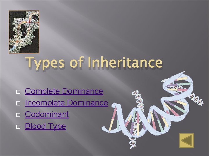 Types of Inheritance Complete Dominance Incomplete Dominance Codominant Blood Type Types of Inheritance Complete Dominance Incomplete Dominance Codominant Blood Type