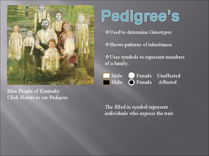 Pedigree’s v. Used to determine Genotypes v. Shows patterns of inheritance. v. Uses symbols Pedigree’s v. Used to determine Genotypes v. Shows patterns of inheritance. v. Uses symbols