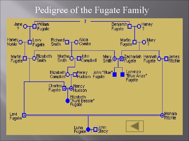 Pedigree of the Fugate Family Pedigree of the Fugate Family
