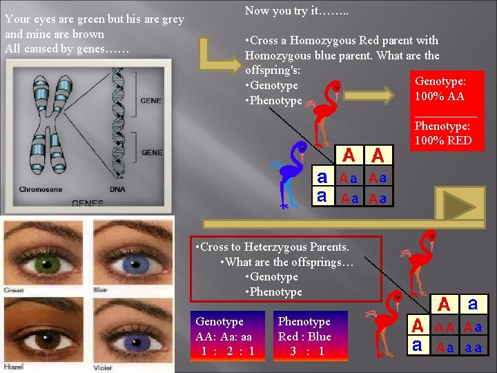 Your eyes are green but his are grey and mine are brown All caused Your eyes are green but his are grey and mine are brown All caused