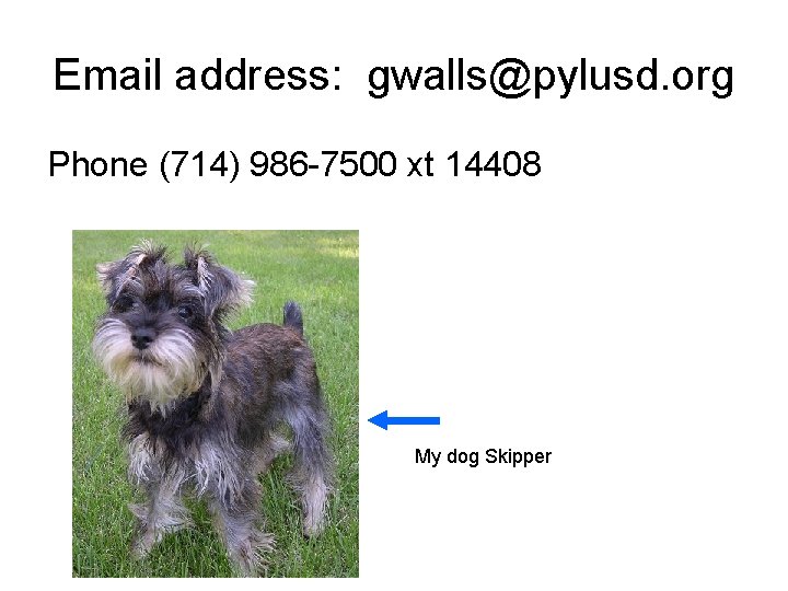 Email address: gwalls@pylusd. org Phone (714) 986 -7500 xt 14408 My dog Skipper 