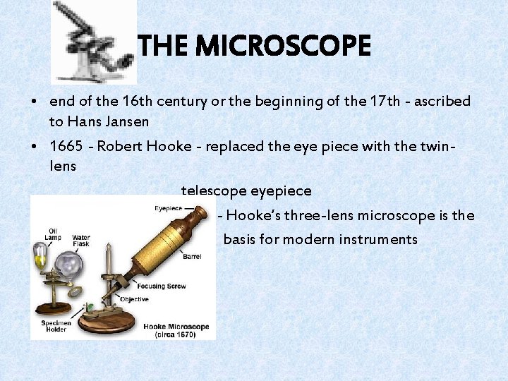 THE MICROSCOPE • end of the 16 th century or the beginning of the