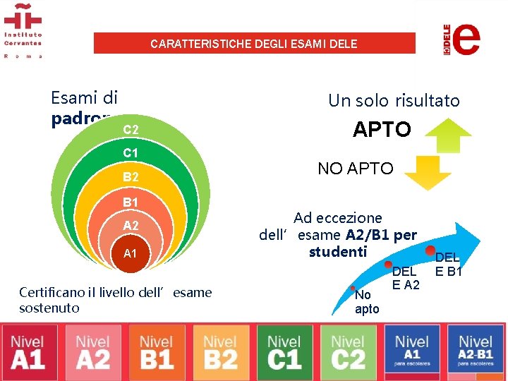 CARATTERISTICHE DEGLI ESAMI DELE Esami di padronanza C 2 C 1 B 2 B