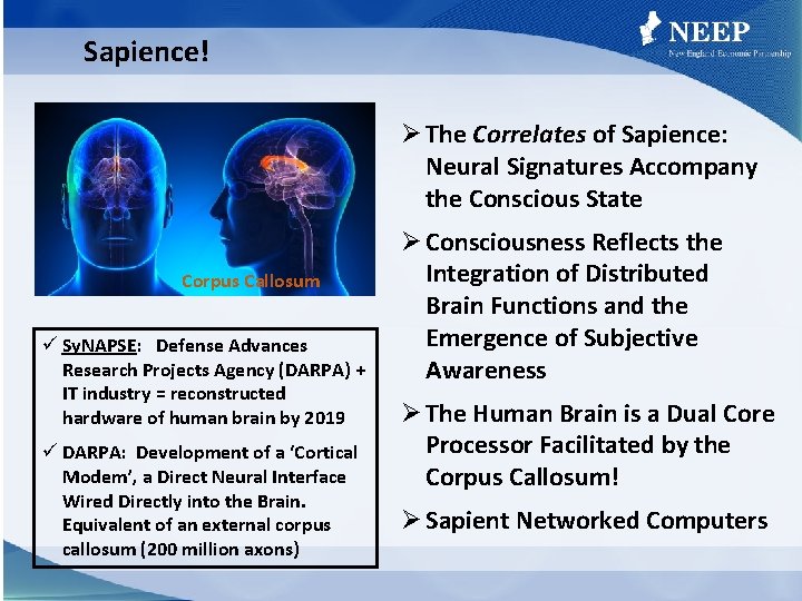 Sapience! Ø The Correlates of Sapience: Neural Signatures Accompany the Conscious State Corpus Callosum