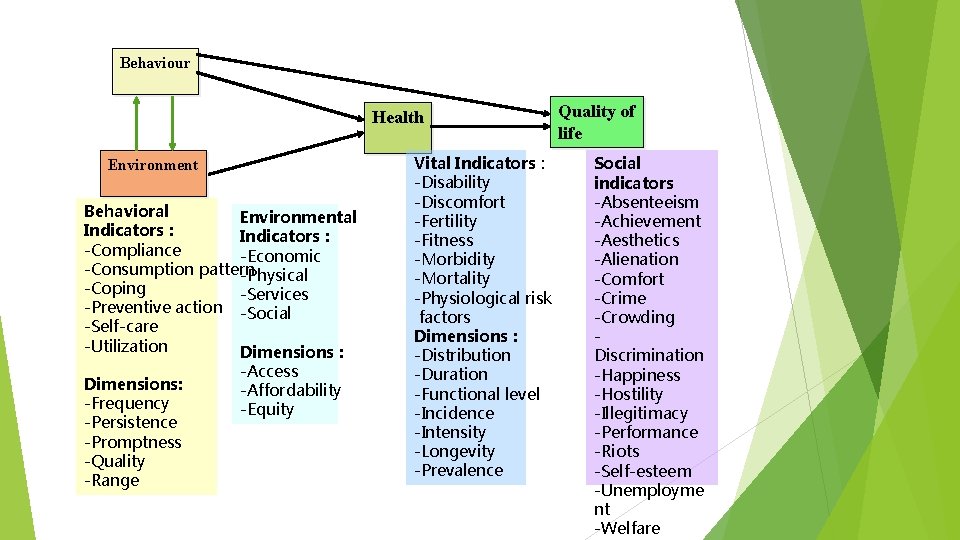 Behaviour Health Environment Behavioral Environmental Indicators : -Compliance -Economic -Consumption pattern -Physical -Coping -Services