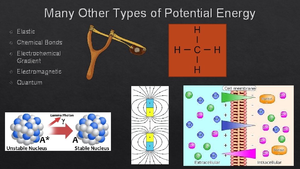 Many Other Types of Potential Energy Elastic Chemical Bonds Electrochemical Gradient Electromagnetic Quantum 