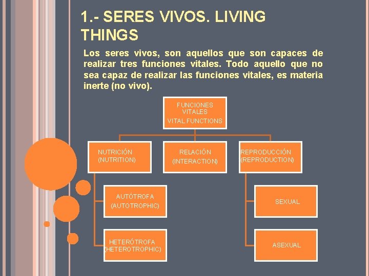 1. - SERES VIVOS. LIVING THINGS Los seres vivos, son aquellos que son capaces