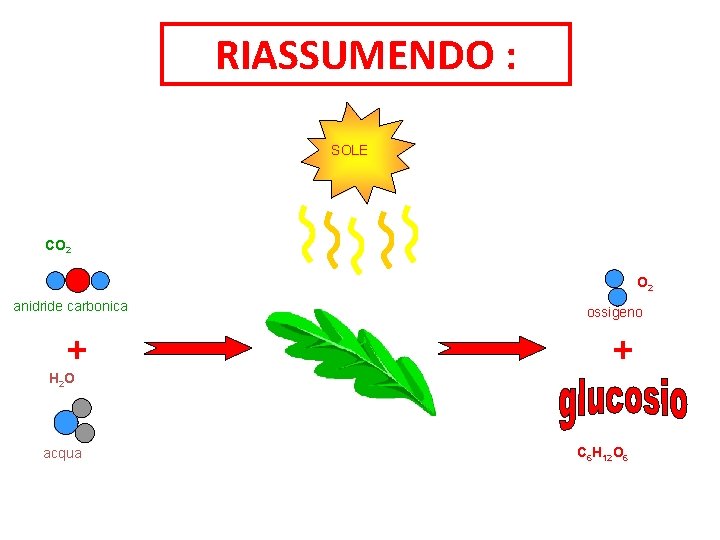 RIASSUMENDO : SOLE CO 2 anidride carbonica + ossigeno + H 2 O acqua