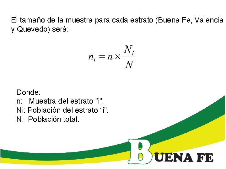 El tamaño de la muestra para cada estrato (Buena Fe, Valencia y Quevedo) será: