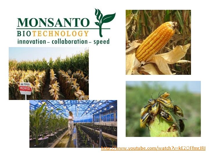 http: //www. youtube. com/watch? v=k. E 2 OFfmr. JRI 