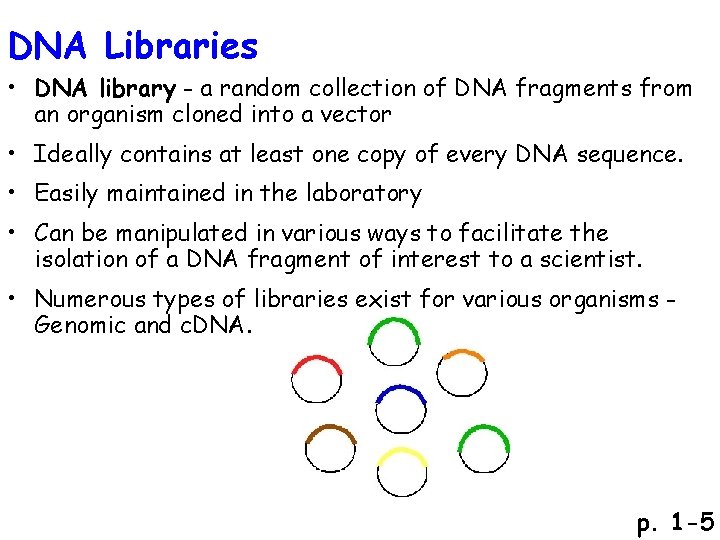 DNA Libraries • DNA library - a random collection of DNA fragments from an