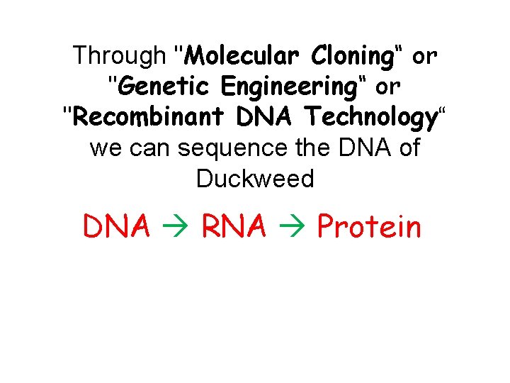 Through "Molecular Cloning“ or "Genetic Engineering“ or "Recombinant DNA Technology“ we can sequence the