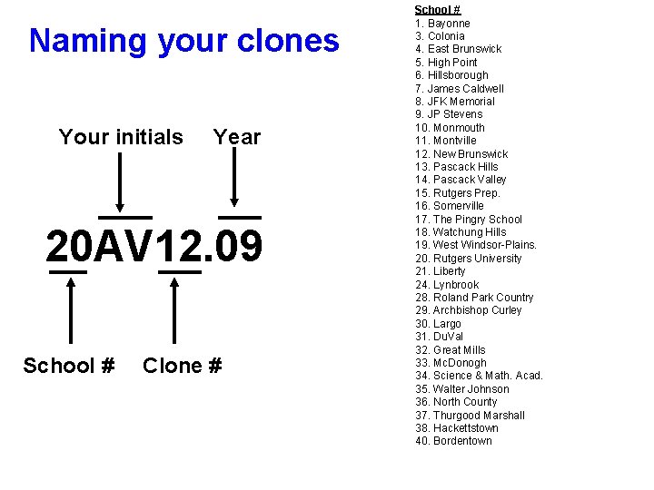 Naming your clones Your initials Year 20 AV 12. 09 School # Clone #