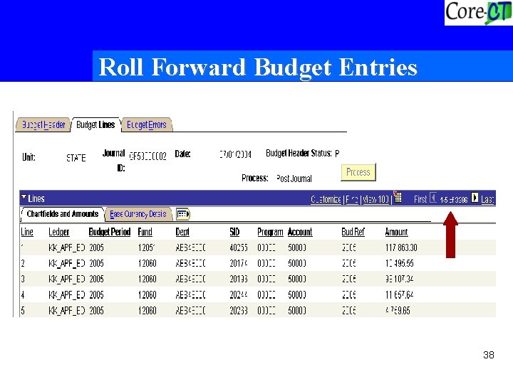 Roll Forward Budget Entries 38 