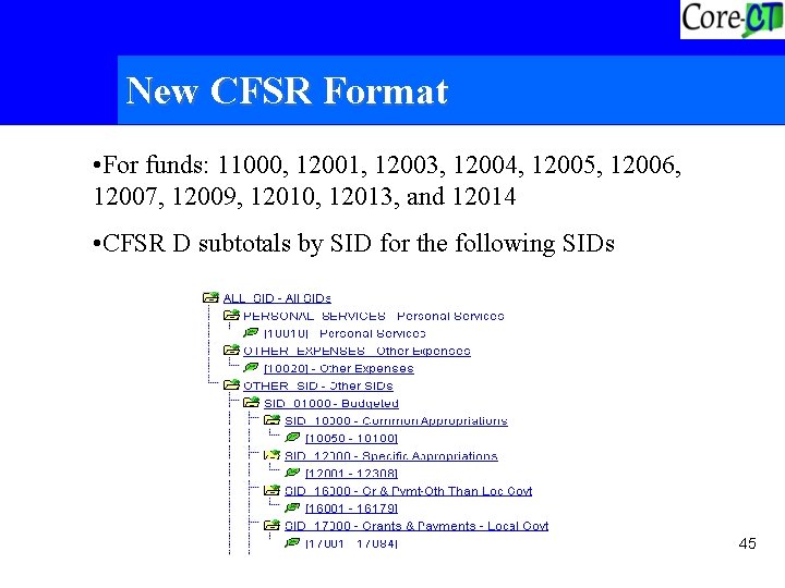 New CFSR Format • For funds: 11000, 12001, 12003, 12004, 12005, 12006, 12007, 12009,