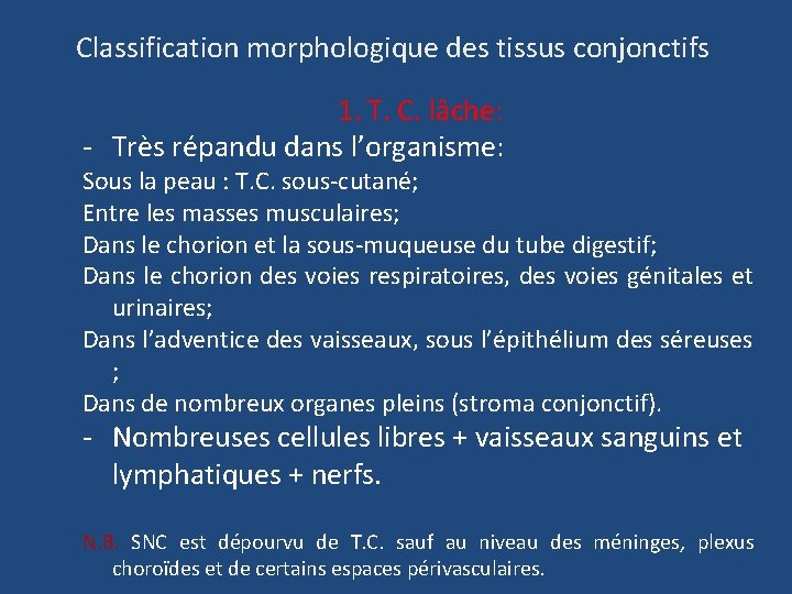 Classification morphologique des tissus conjonctifs 1. T. C. lâche: - Très répandu dans l’organisme: