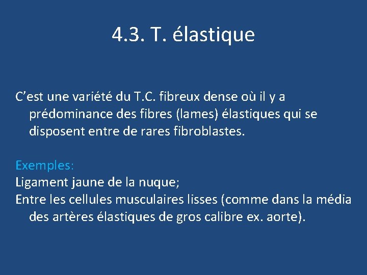 4. 3. T. élastique C’est une variété du T. C. fibreux dense où il