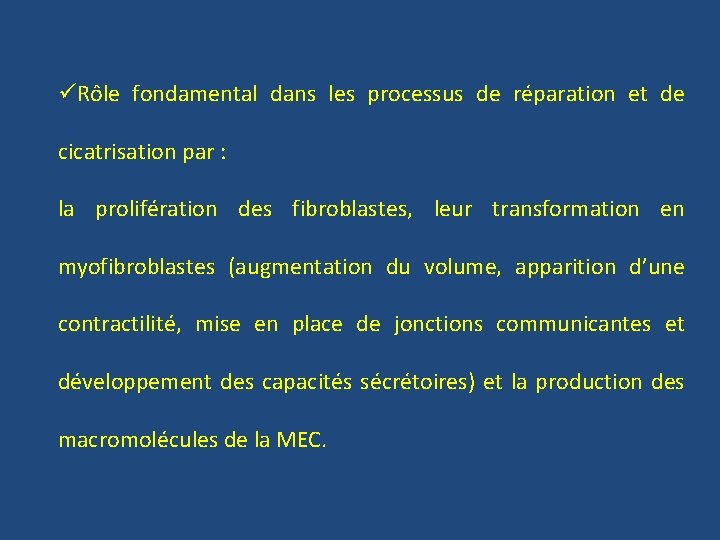 üRôle fondamental dans les processus de réparation et de cicatrisation par : la prolifération