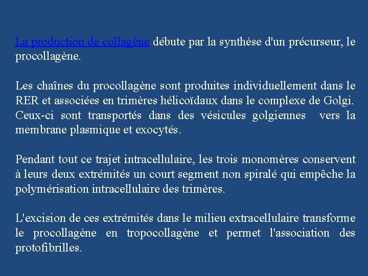 La production de collagène débute par la synthèse d'un précurseur, le procollagène. Les chaînes