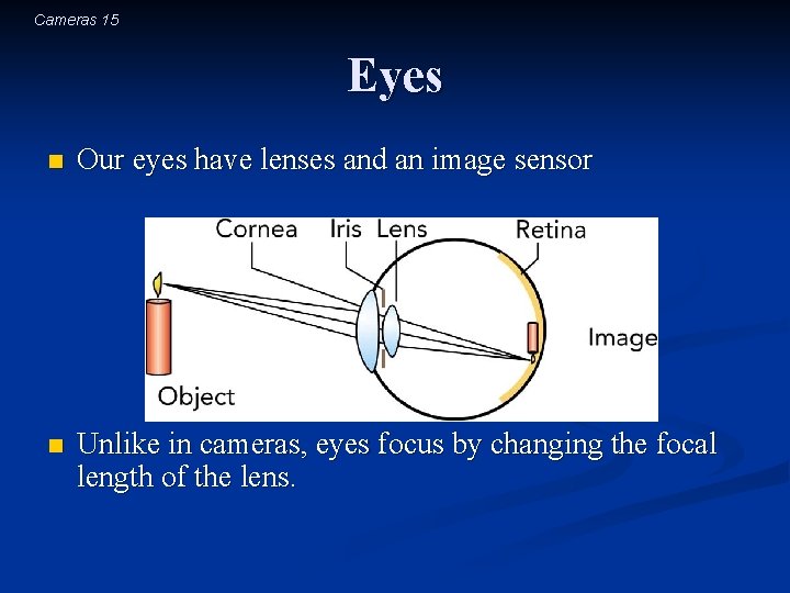 Cameras 15 Eyes n Our eyes have lenses and an image sensor n Unlike