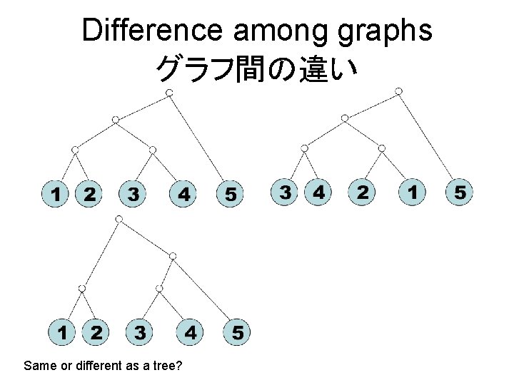 Difference among graphs グラフ間の違い Same or different as a tree? 