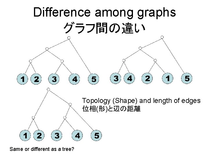 Difference among graphs グラフ間の違い Topology (Shape) and length of edges 位相(形)と辺の距離 Same or different