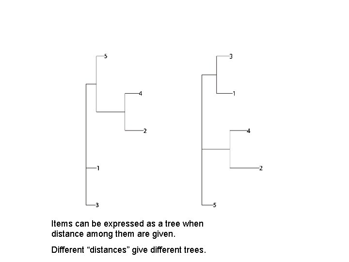 Items can be expressed as a tree when distance among them are given. Different
