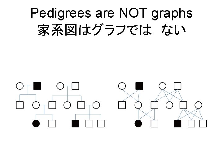 Pedigrees are NOT graphs 家系図はグラフでは　ない 