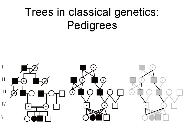 Trees in classical genetics: Pedigrees 