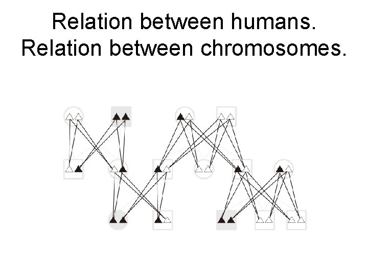 Relation between humans. Relation between chromosomes. 