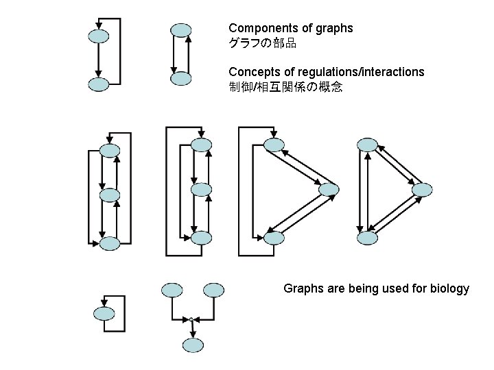 Components of graphs グラフの部品 Concepts of regulations/interactions 制御/相互関係の概念 Graphs are being used for biology