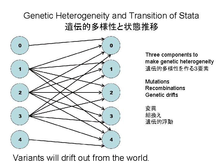 Genetic Heterogeneity and Transition of Stata 遺伝的多様性と状態推移 Three components to make genetic heterogeneity 遺伝的多様性を作る３要素