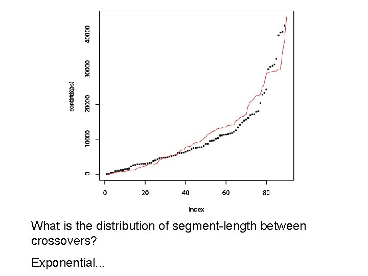 What is the distribution of segment-length between crossovers? Exponential. . . 